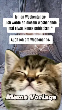 WEEKEND meme 