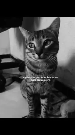 a gente se perde