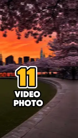 11 video or photo