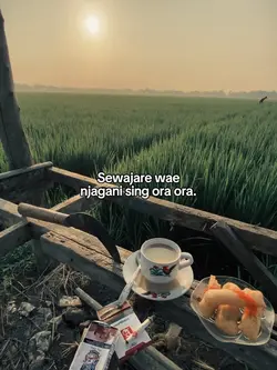 Njagani sing ora ora