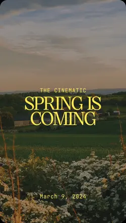Cinematic Spring