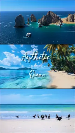 Aesthetic Ocean