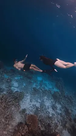 pusing pala berbie