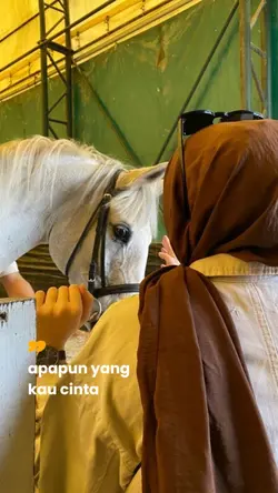 Nikmati perjalananny