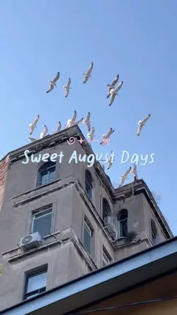 Sweet August Days