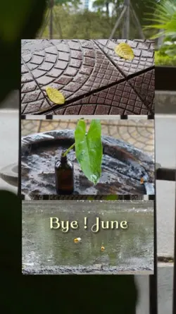 Bye June