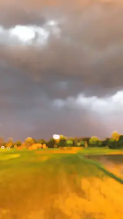 New Tranding effect