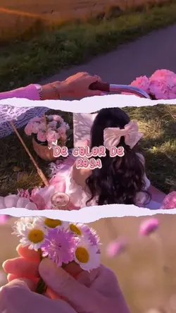 La vida hermosa 