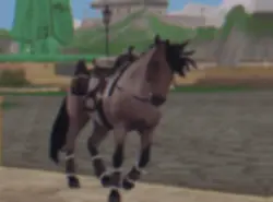 Star stable ❤️‍🔥🎀❤️‍🩹