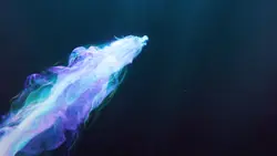 Dragon intro