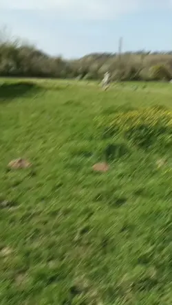slow motion 