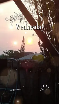 Wednesday