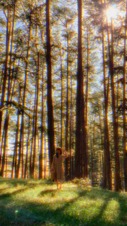aesthetic video