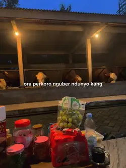 Kata² eripras