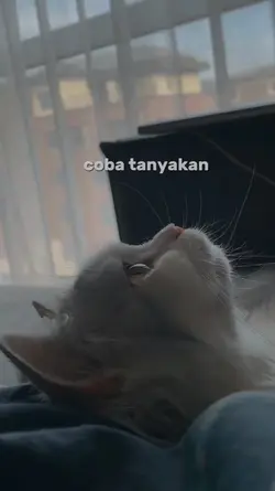 Putus atau terus