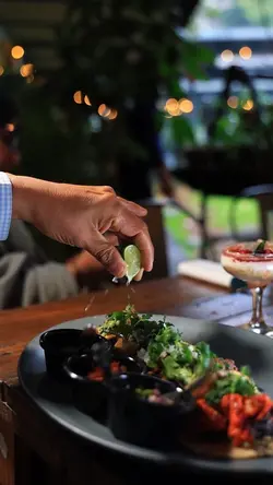 Best Food Template