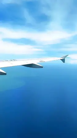 Landing in Semarang