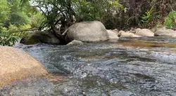 ធម្មជាតិ ខៀវៗ