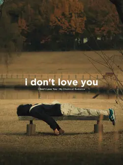 I Don't Love You