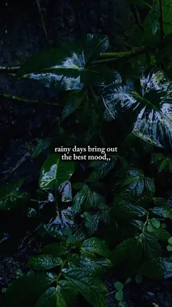 rainy days