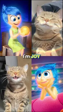 INSIDE OUT