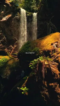 nature, therapy