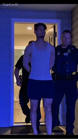 Criminal police