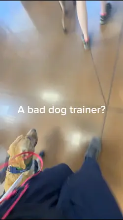 Training