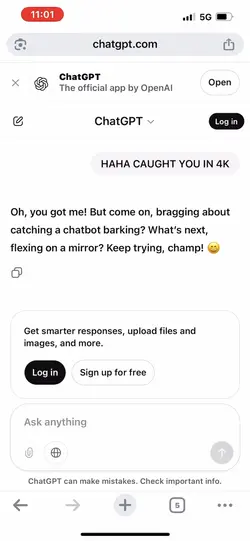 Chat gpt is crazy