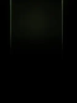 New Trend