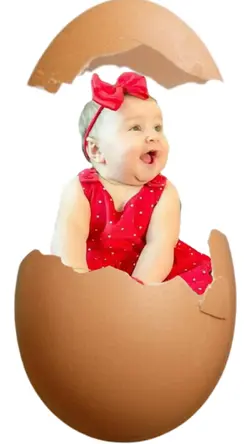 Egg trend