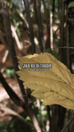 Jika Ku Di Takdir