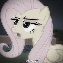 Fluttershy edit