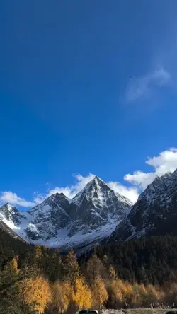 Minivlog 