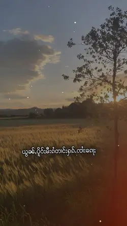 သႂ်ႇၶႅပ်းႁၢင်ႈသူ1