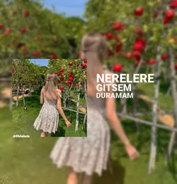 nerelere gitsem...