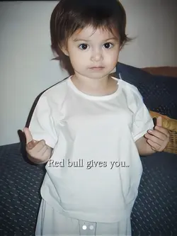 RED BULL GIVE U WING
