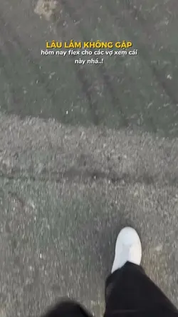 Hole Hole