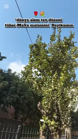 Kürtçe şarkı 