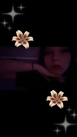 🌸petal🌸