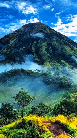 Mountain Vibes
