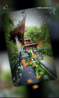 NhữngChuyến Xe Trong