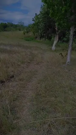 slowmo dj saranghee 