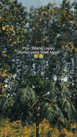 Pov : Bilang lopyu
