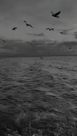 Şablon