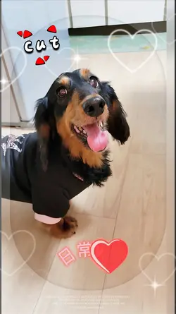 cute