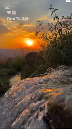 Kürtçe şablon