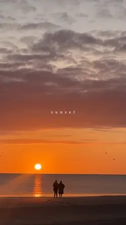 aesthetic sunset