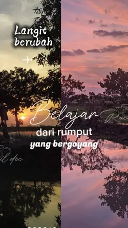 belajar dari rumput