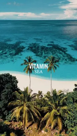 vitamin sea 